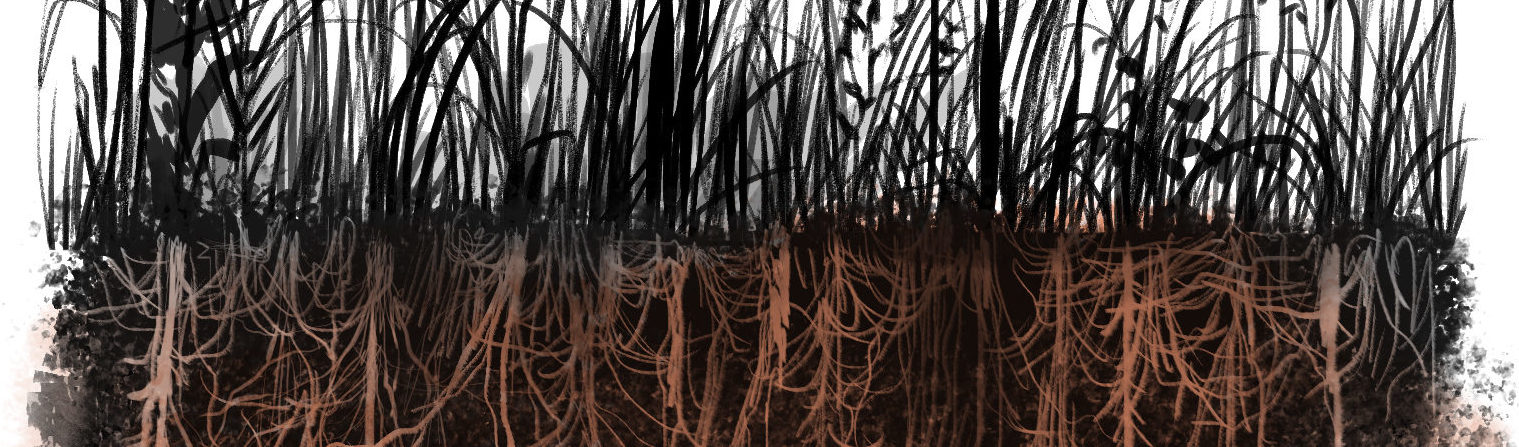 Digging into Soil