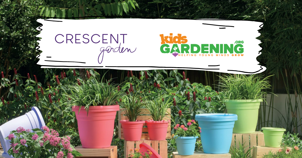 Elementary Educators’ Guide to Container Gardening