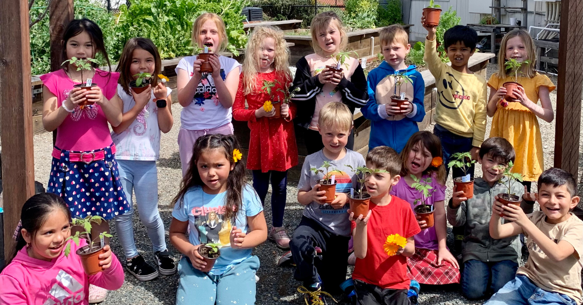 Celebrating Cultural Inclusion in the School Garden